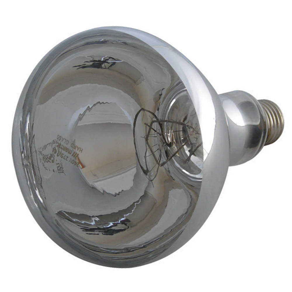 globes light bulbs light