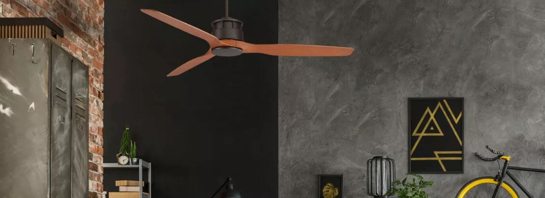 ceiling fans with light