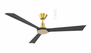 the Riviera DC smart fan